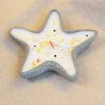 Vela estrella de mar