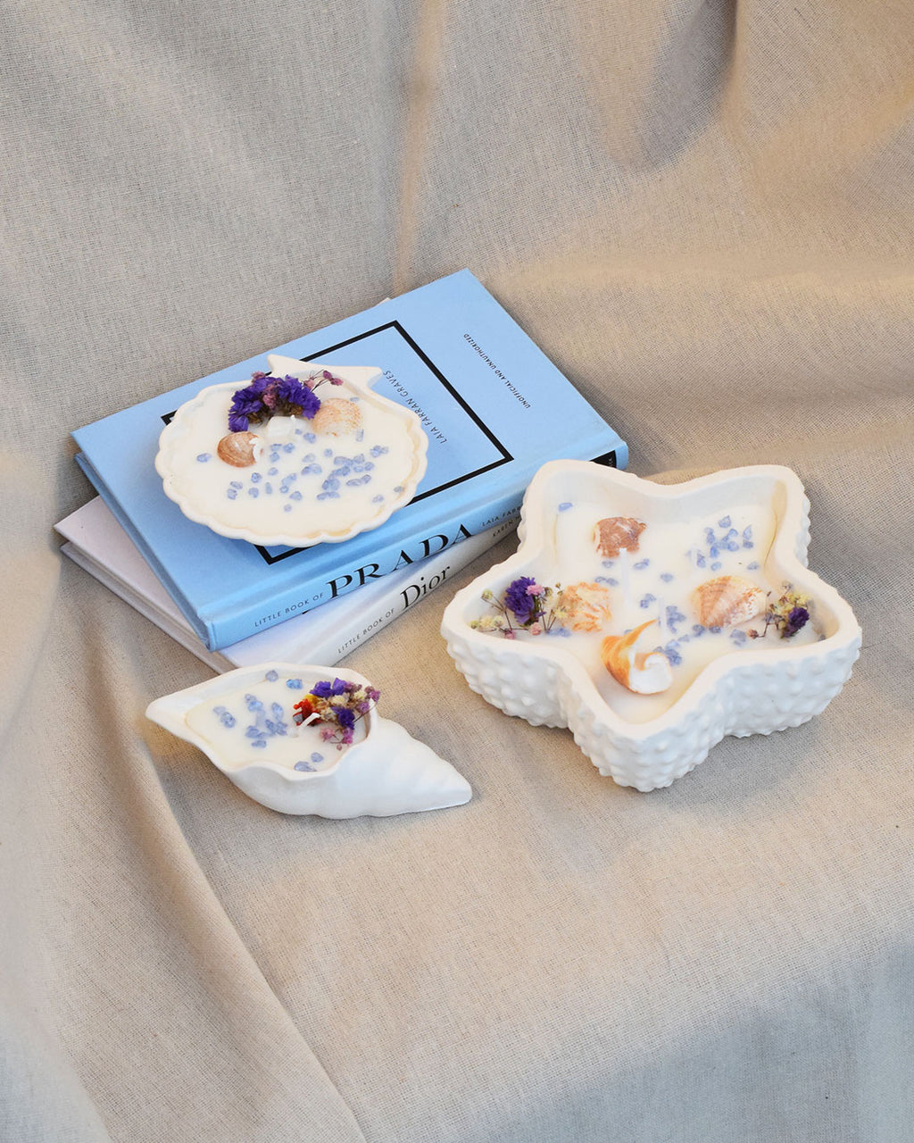 Vela estrella de mar