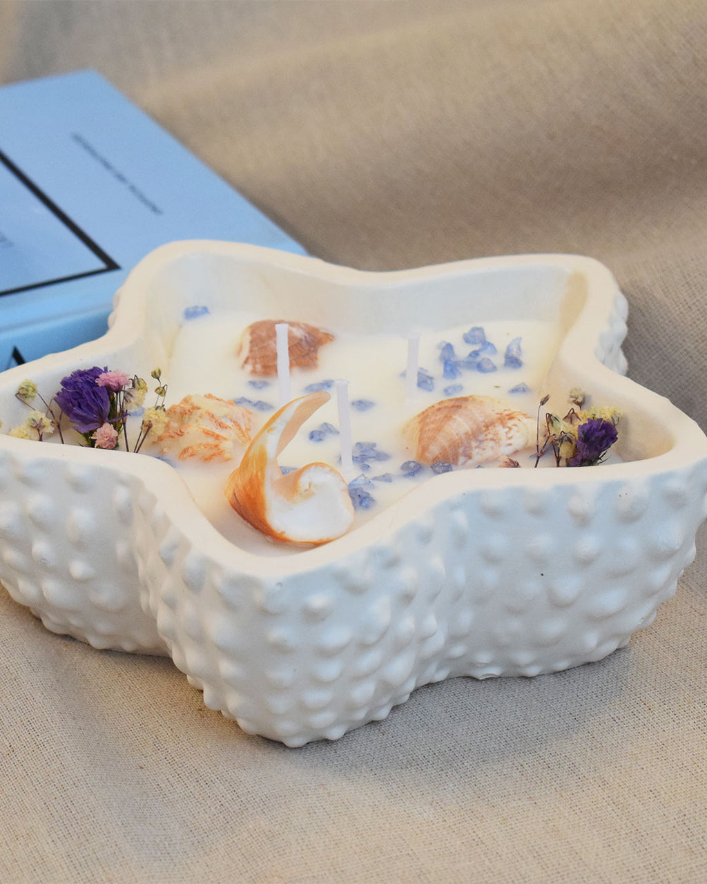 Vela estrella de mar